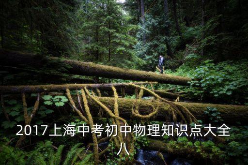 2017上海中考初中物理知識點大全八
