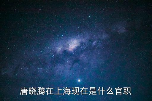 唐曉騰在上海現在是什么官職