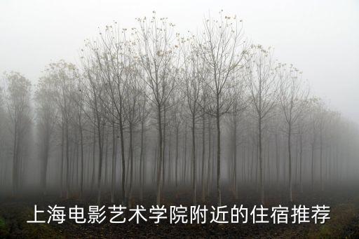 上海市科苑路88號(hào)賓得，上海站到浦東區(qū)張江科苑路88號(hào)德國中心怎么做地鐵