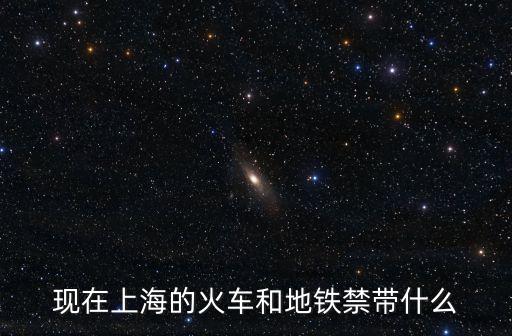 現在上海的火車和地鐵禁帶什么