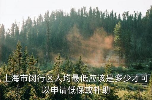 上海市閔行區人均最低應該是多少才可以申請低保或補助