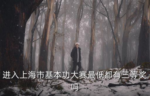 進入上海市基本功大賽最低都有三等獎嗎