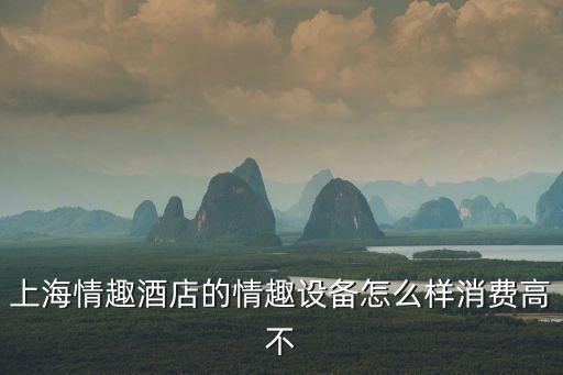 上海市公服設施配置標準，上海情趣酒店的情趣設備怎么樣消費高不