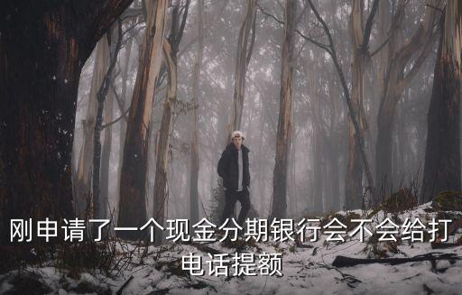 剛申請(qǐng)了一個(gè)現(xiàn)金分期銀行會(huì)不會(huì)給打電話提額