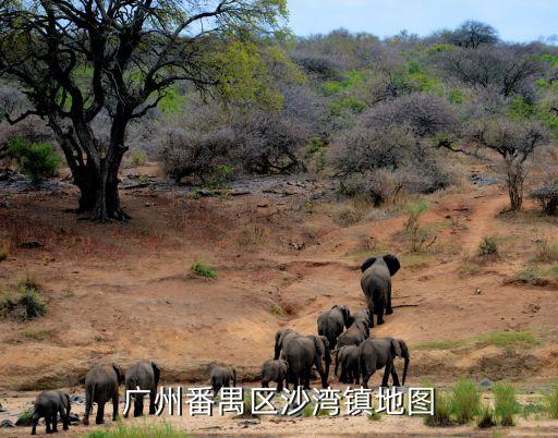 廣州番禺區沙灣鎮地圖
