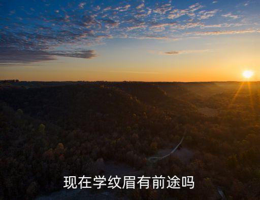現在學紋眉有前途嗎