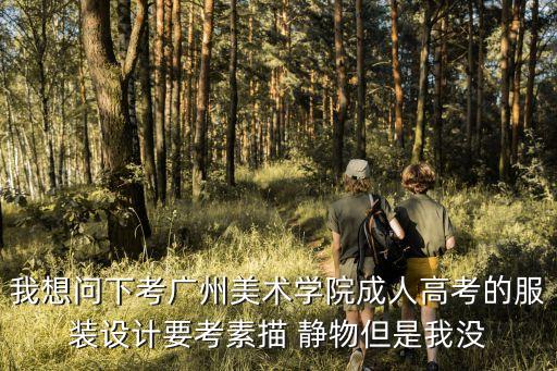我想問下考廣州美術學院成人高考的服裝設計要考素描 靜物但是我沒