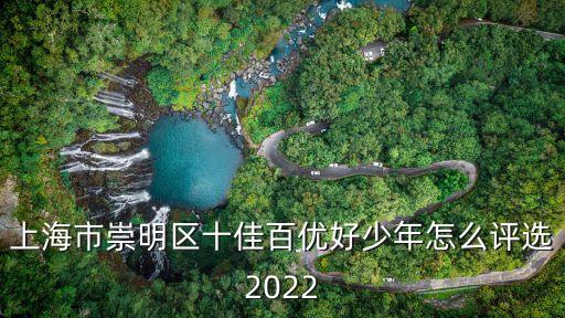 上海市崇明區十佳百優好少年怎么評選2022
