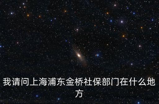 我請問上海浦東金橋社保部門在什么地方