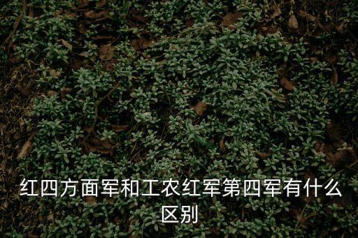 第四軍，國(guó)民革命時(shí)期的第四軍