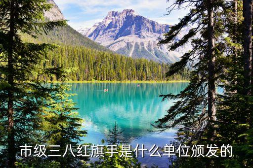 市級三八紅旗手是什么單位頒發(fā)的