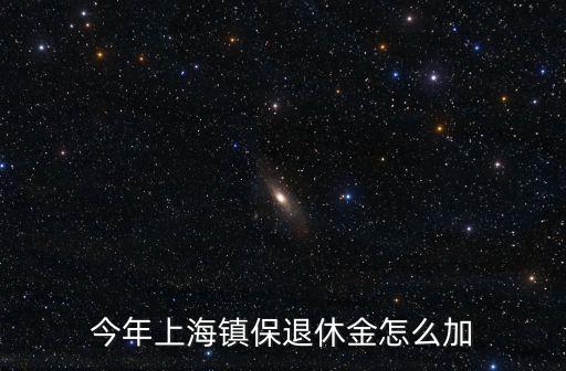 今年上海鎮保退休金怎么加