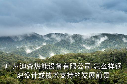 廣州迪森熱能設備有限公司 怎么樣鍋爐設計或技術支持的發展前景