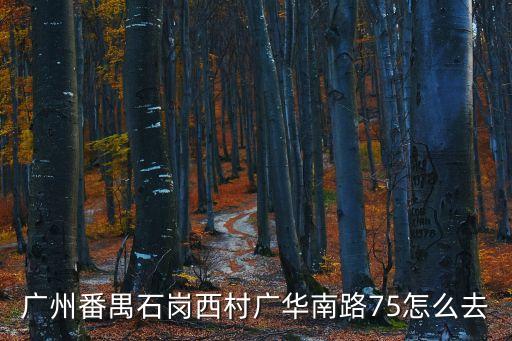 廣州番禺廣場石崗村，廣州番禺石崗西村廣華南路75怎么去