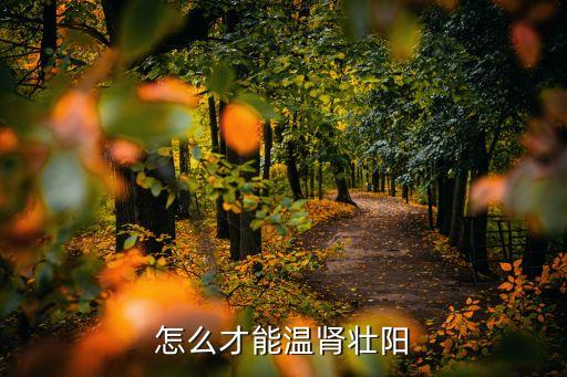 怎么才能溫腎壯陽