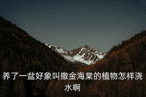 廣州附近海棠，在線等急深圳怎么到廣州合算