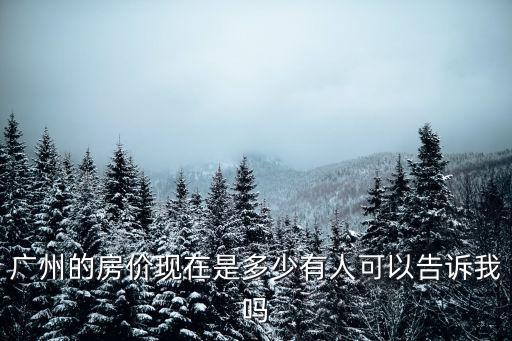 廣州的房價現(xiàn)在是多少有人可以告訴我嗎