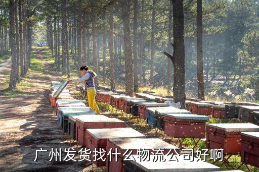 廣州到全國物流專線選哪家，廣州發(fā)往全國各地的物流公司有哪些