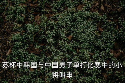蘇杯中韓國與中國男子單打比賽中的小將叫申