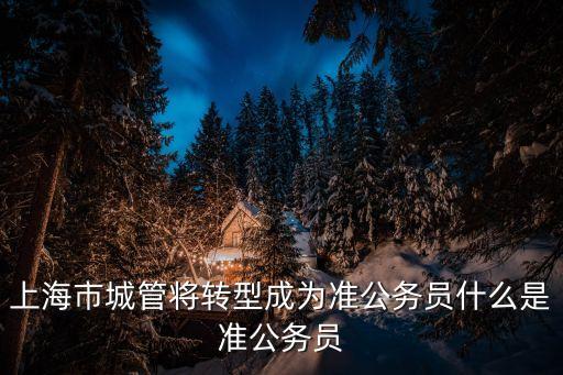 上海市城管體制改革，城管體制改革后有哪些優點亮點及存在的問題與不足
