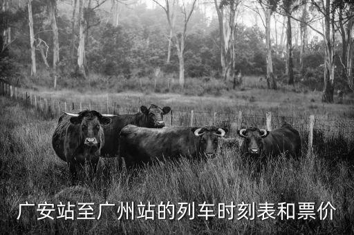 廣安到廣州火車時刻表車次，廣安站至廣州站的列車時刻表和票價