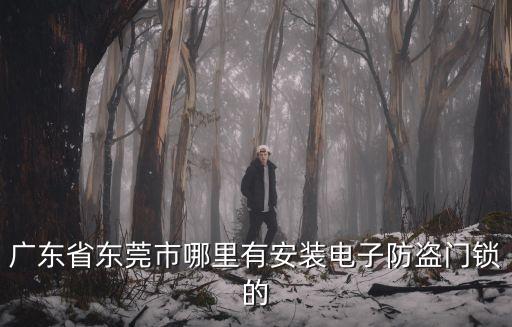 廣州出租房的門鎖叫什么，沒有鑰匙的鎖能配嗎可以的話大概多少錢
