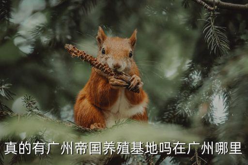 廣州哪里養豬場最好，真的有廣州帝國養殖基地嗎在廣州哪里