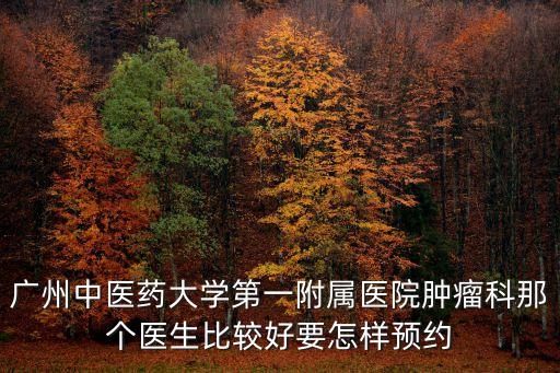 廣州中醫藥大學吳麗蓉，廣州中醫藥大學第一附屬醫院 消化內科哪個醫生看消化內褲比較