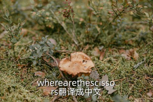 剪刀英文，剪刀常復的英文單詞