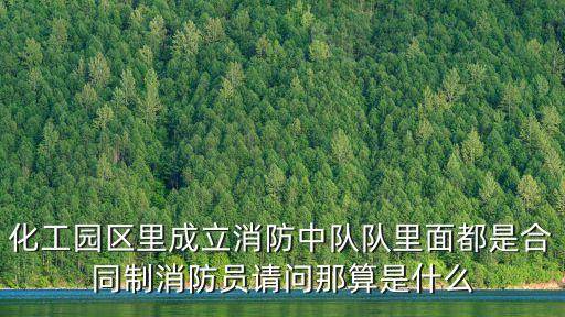 上海市化工區(qū)消防，上海市目前共有多少個消防中隊(duì)