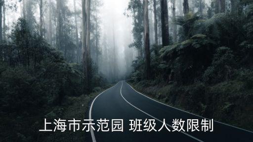 上海市示范園 班級人數限制