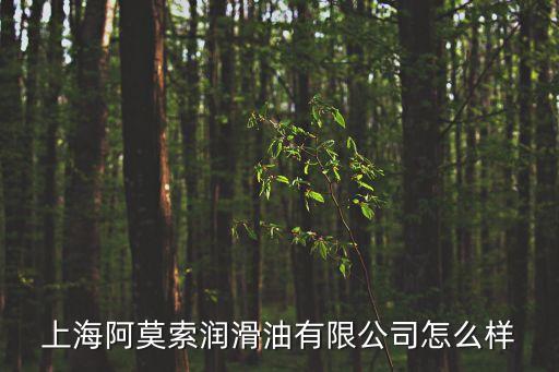 上海阿莫索潤(rùn)滑油有限公司怎么樣