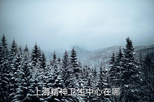 上海精神衛(wèi)生中心在哪
