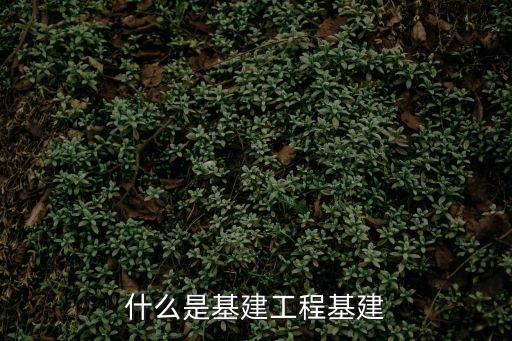 基建工程，什么是基建工程學