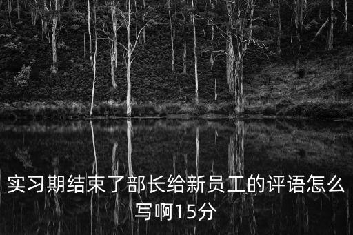 實習期結束了部長給新員工的評語怎么寫啊15分