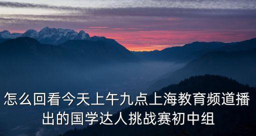 怎么回看今天上午九點上海教育頻道播出的國學達人挑戰賽初中組