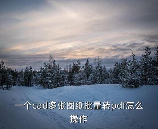 一個cad多張圖紙批量轉pdf怎么操作