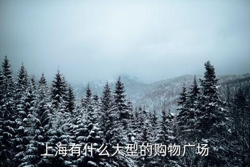 上海有什么大型的購物廣場