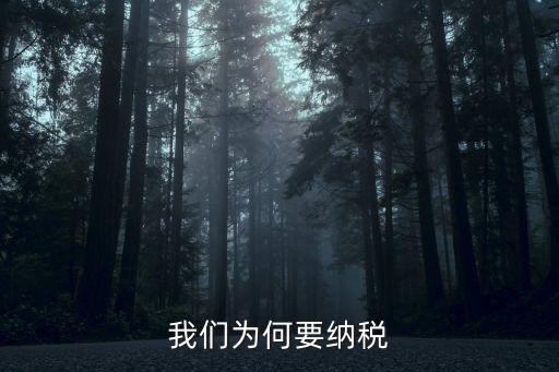 我們為何要納稅