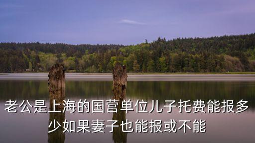 上海市幼托費報銷軍人，老公是上海的國營單位兒子托費能報多少如果妻子也能報或不能