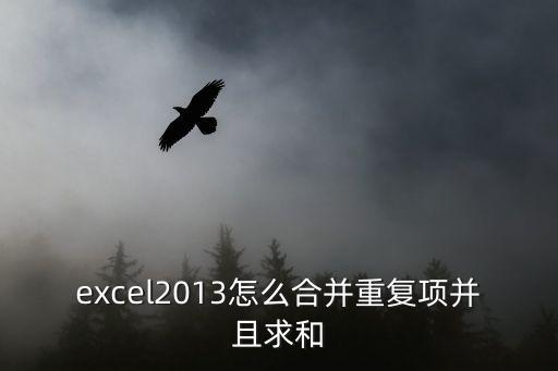 excel2013怎么合并重復(fù)項(xiàng)并且求和