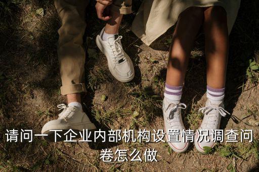 上海市內部控制調查問卷，請問一下企業內部機構設置情況調查問卷怎么做