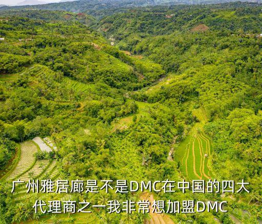 廣州永慶雅居廊，廣州雅居廊是不是DMC在中國的四大代理商之一我非常想加盟DMC