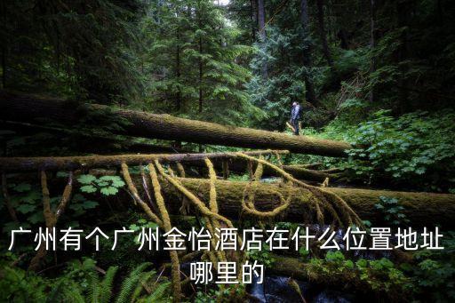 廣州有個廣州金怡酒店在什么位置地址哪里的