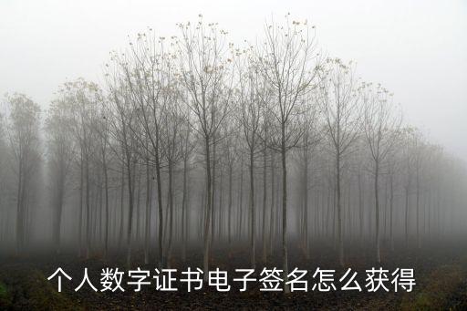 個人數字證書電子簽名怎么獲得