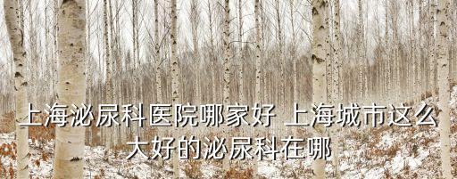 上海市翟必槐，收到上海賡興投資管理咨詢有限公司上海市靜安區萬航渡路849號海