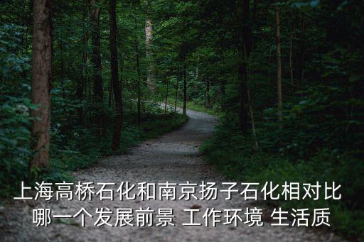 上海市高橋化學工業區，上海高橋石化發展前景