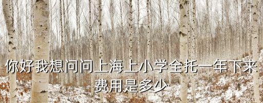 你好我想問問上海上小學(xué)全托一年下來費用是多少
