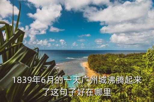 1839年6月的一天廣州城沸騰起來了這句子好在哪里