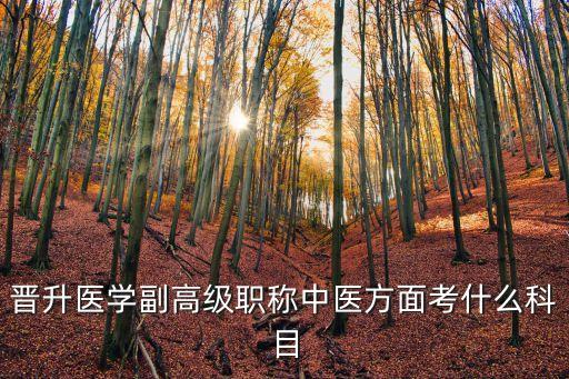 晉升醫(yī)學副高級職稱中醫(yī)方面考什么科目